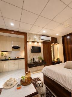 Luxury Studio With Balcony Near Gopalpura - 5