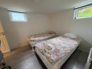 Spacy flat with big garden - 2