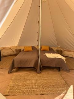 Glamping Arctic Ukuli - 5