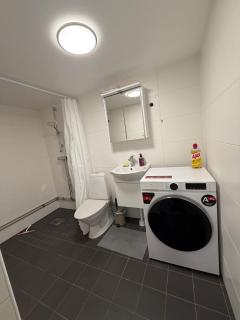 Spacy flat with big garden - 7