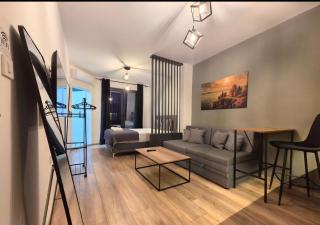 DESPOT Studio Apartments Ohrid - 1