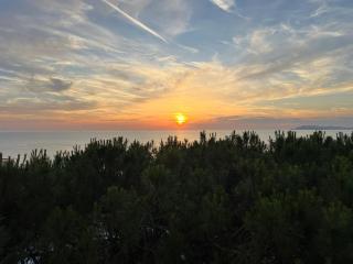 Sunset Pine Apartments - 9