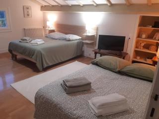 chambre spacieuse et lumineuse avec vue sur les montagnes - 1