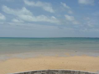 Umi no Nakama - Isola di Ishigaki - 7