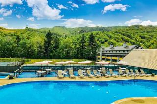 Loon Mountain Getaway - Lincoln - 8