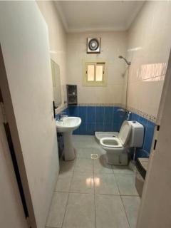 شقه هاديه ودخول ذكي - 1