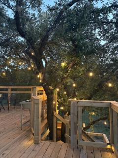 Hill Country Yurt Escape at Pennington Grove - 5