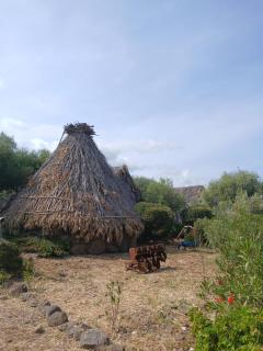 Ovile Juanne Loddo - 1