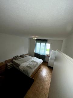 Cozy Apartment in Baden - 6
