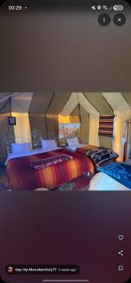luxury tent in Merzouga - 3