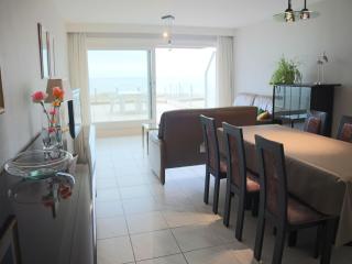 Seafront apartment in Nieuwpoort Bad - 1