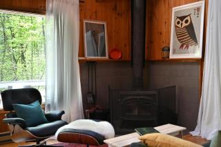Family Berskshires Cabin with Climbing Wall, Games, Firepit - 8