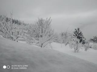 Apple farm stay with A Breathtaking views - 2