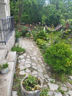 AELA guest house Signaghi - 8
