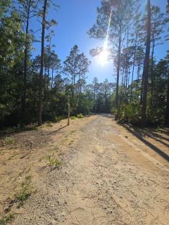 Relaxing retreat near manatees and lake - 1