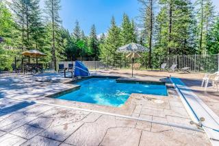 Wooded Dreams - Whitefish - 7