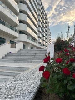 Axxis Blue Serenity Studio - Beachfront Mamaia Nord - 7
