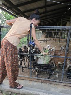 The organic farm stay mullaitivu - 2