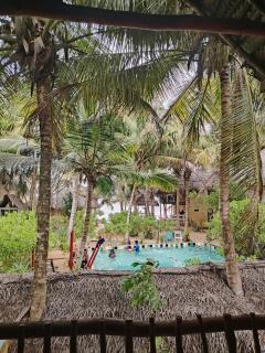 The Alpha Monkey hotel & Tree house - 6