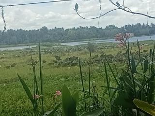 Yala Birds Paradise tree house - 0