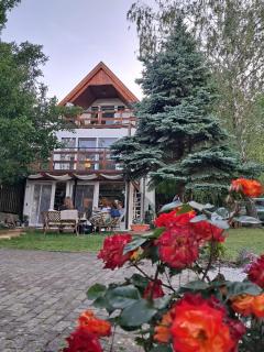 Balaton NewHill - Panorama View - 9