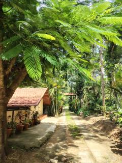 Outbackwoods homestay room Robusta - 6