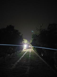 Farm vibe with nature - 5