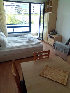 1 Bed - Sleeps 4 - Pets - Mountain Views - 9