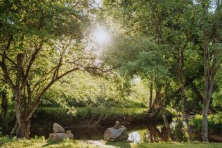 River House - 4