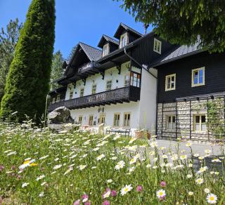 Bergnest im Prielkreuz - Großes Appartment im Ski und Wandergebiet - 0