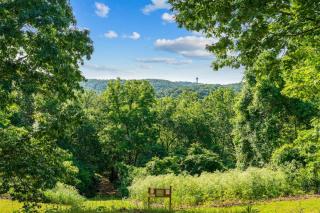 Ozark Skyline Retreat - 4