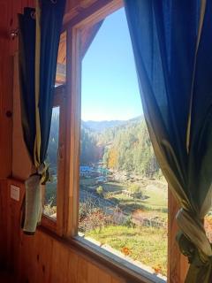 Shikhar cottage - 7