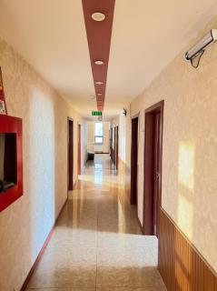 Twin Horse Hotel - 2