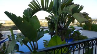Apartment Regal Gardens 1- B105 - 0