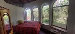 House in paradise garden - 4