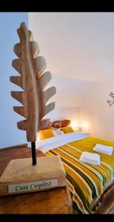 Casa Cioplită - 2