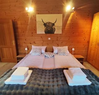 Ferienhaus an der Drau - 3