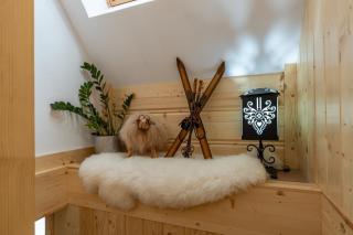 Apartamenty Wiktorówka - 4