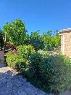 Spanos House - 1