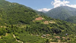 Eco cottage sunrise house merisi - 9