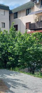 Apartman La Viva Sokobanja - 8