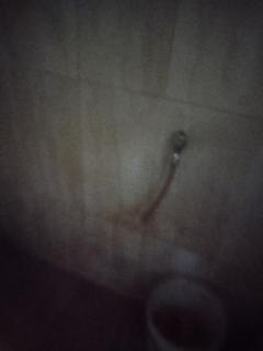 Sogo part - 2