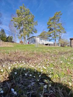 Villa Väderkulla - 3