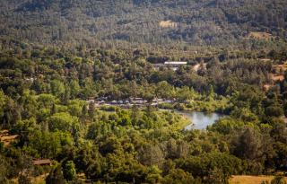 Ponderosa Camping Resort One-Bedroom Cabin 2 - Lotus - 6