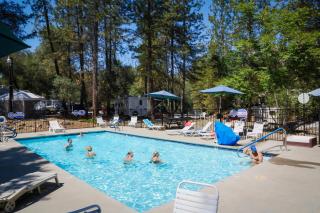 Ponderosa Camping Resort One-Bedroom Cabin 2 - Lotus - 4