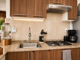 Executive Apartment near Poliforum and León center - 5