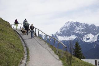 Rudelmut Apartments - 1