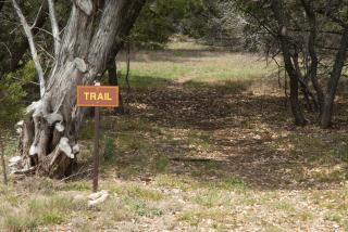 Medina Lake Camping Resort Cabin 8 - Lakehills - 3