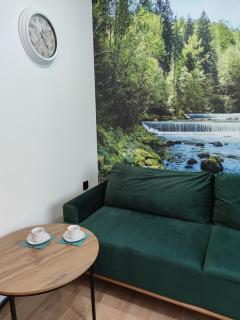 Willa Zuzanna Apartamenty - 5