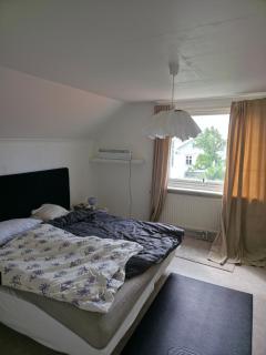 Seaside Koster house - 4
